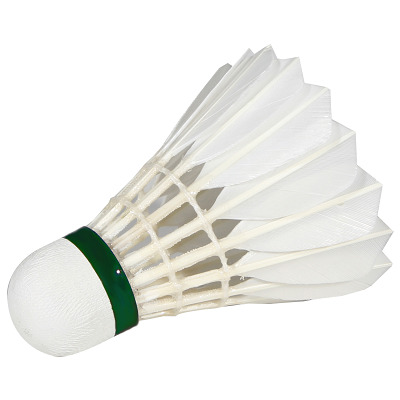 [prijs09] Badminton plum - competitie